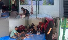 berita-pilihan-foto