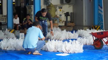 PLN UP3 Madura Wujudkan Kepedulian Sosial Lewat Kurban di Pamekasan
